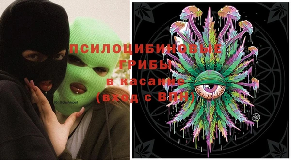 каннабис Новозыбков