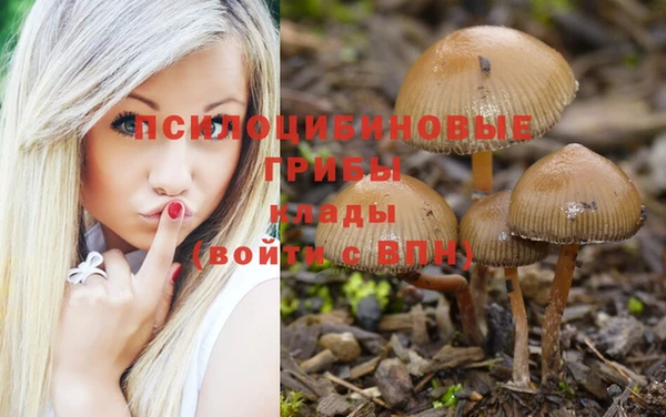 каннабис Новозыбков