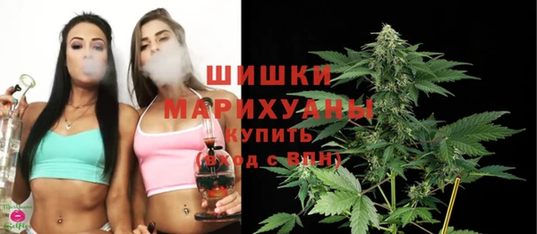 каннабис Новозыбков