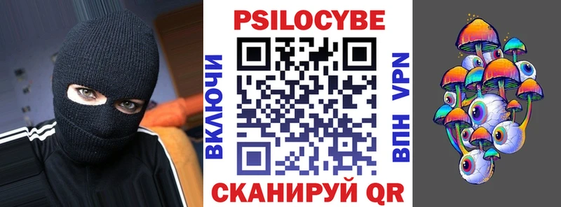 Галлюциногенные грибы Cubensis где можно купить Переславль-Залесский