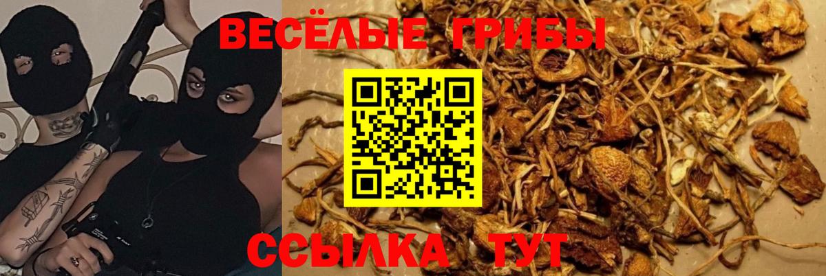 Псилоцибиновые грибы ЛСД Переславль-Залесский
